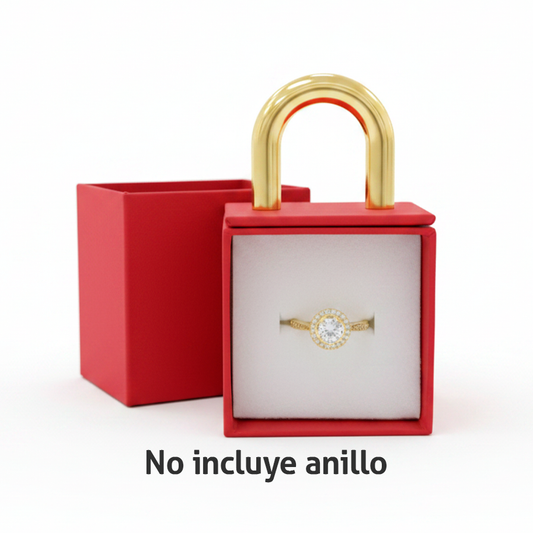 Estuche Luxury Candado Pequeño N017